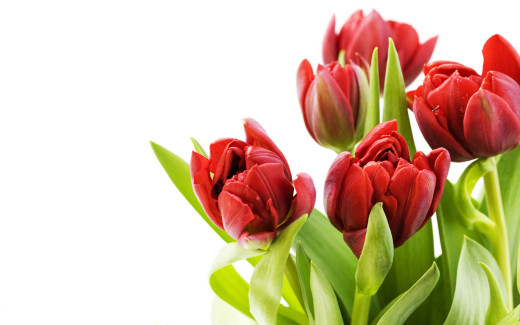 488968 (a): :2560x1600